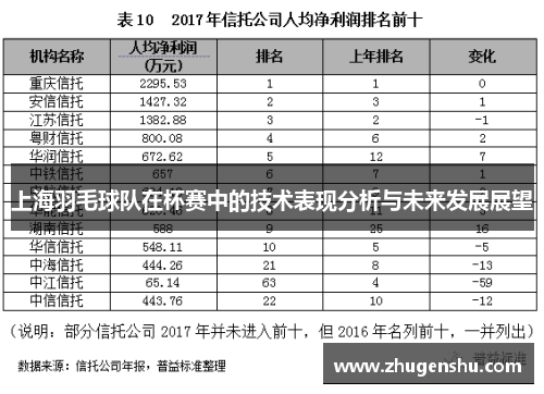 上海羽毛球队在杯赛中的技术表现分析与未来发展展望